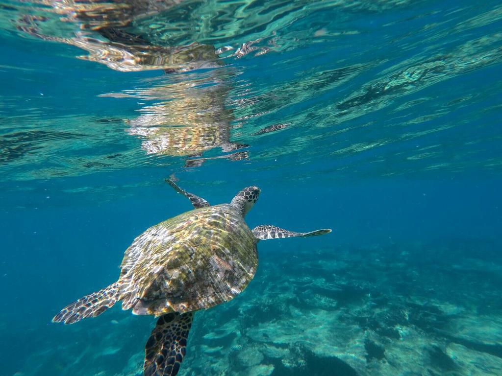 Sancia Lodge Fulidhoo Eksteriør bilde