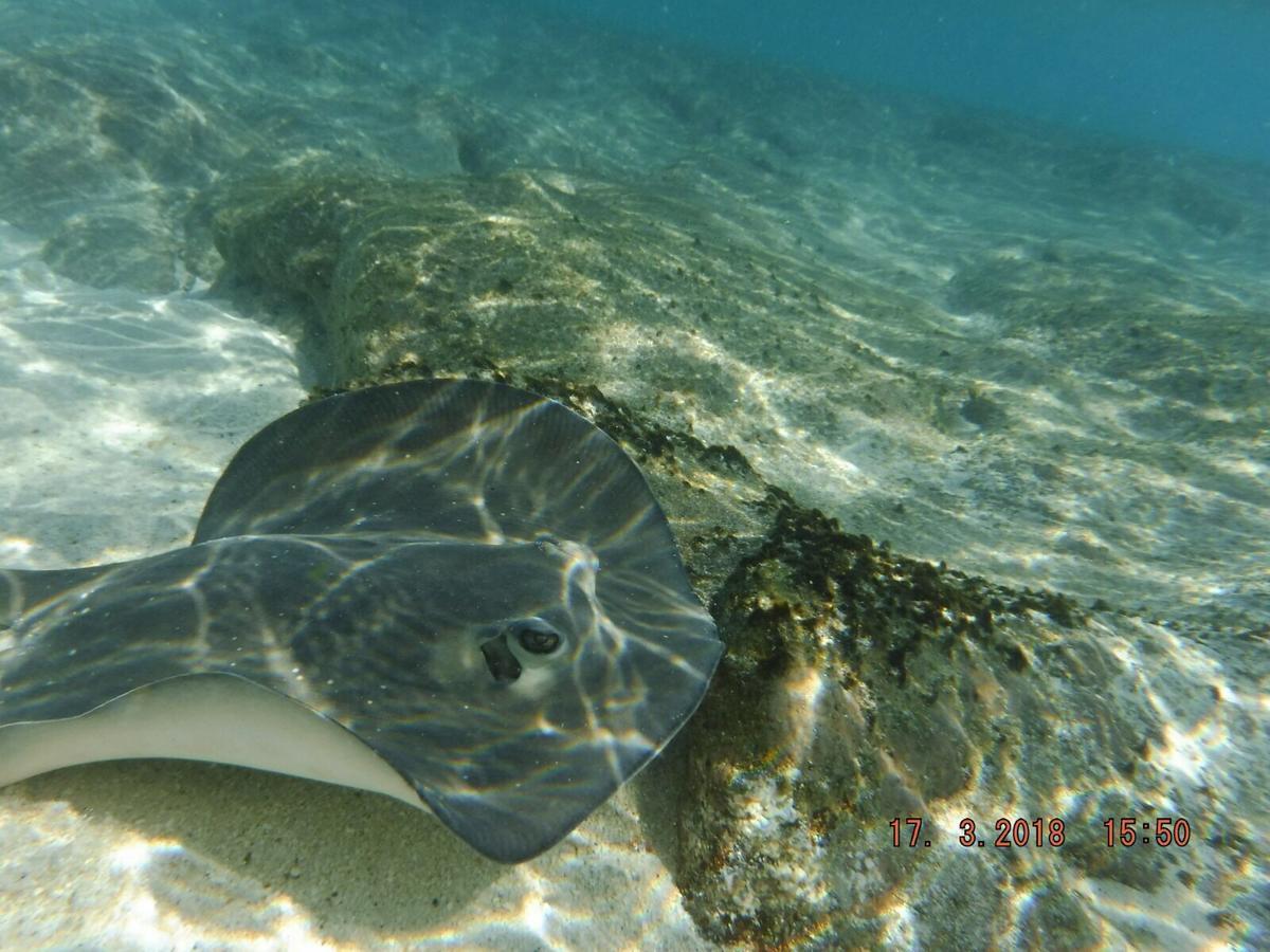Sancia Lodge Fulidhoo Eksteriør bilde