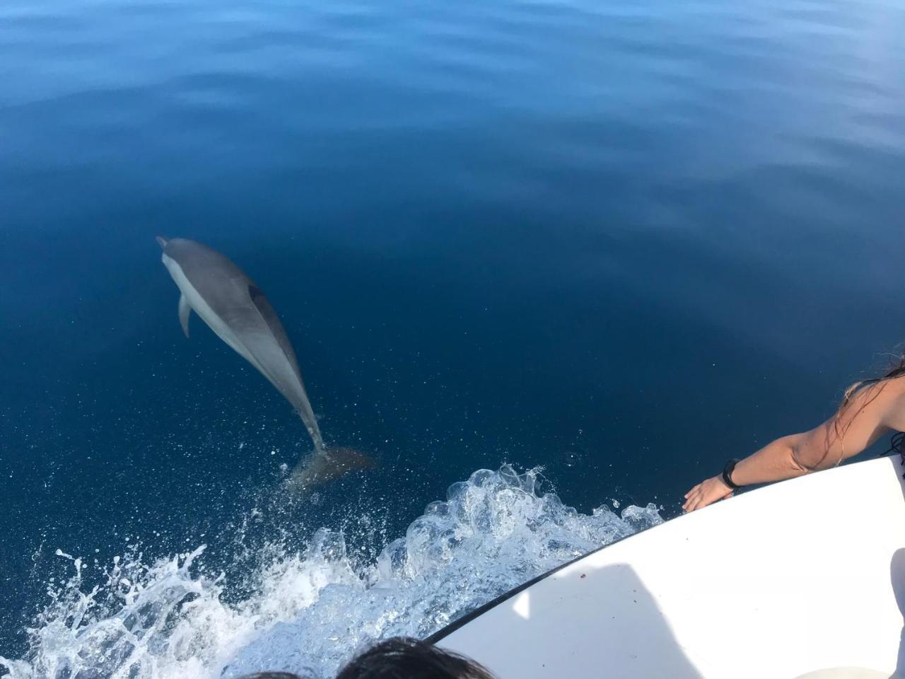 Sancia Lodge Fulidhoo Eksteriør bilde