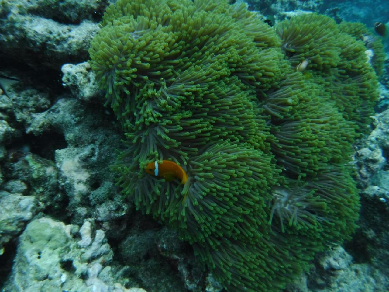 Sancia Lodge Fulidhoo Eksteriør bilde