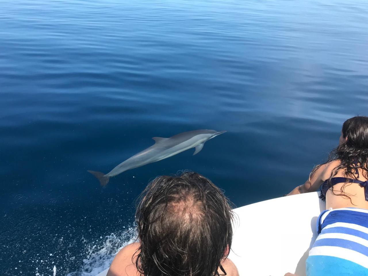 Sancia Lodge Fulidhoo Eksteriør bilde